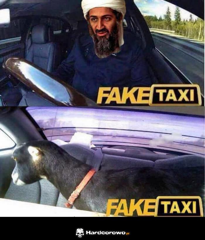 Fake Taxi - 1