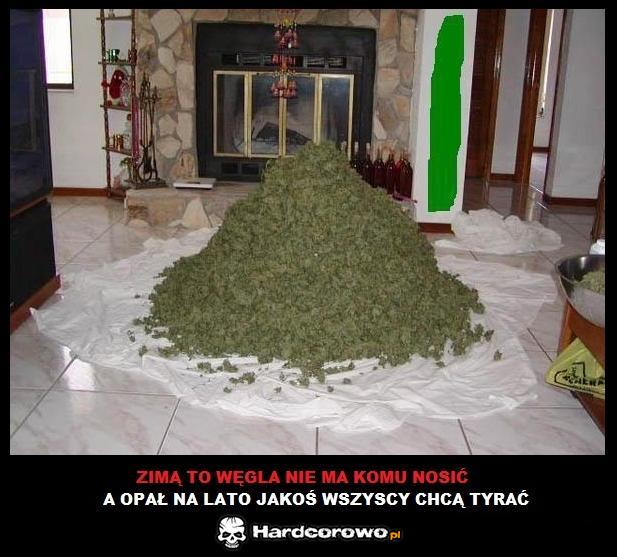 Opał na lato - 1