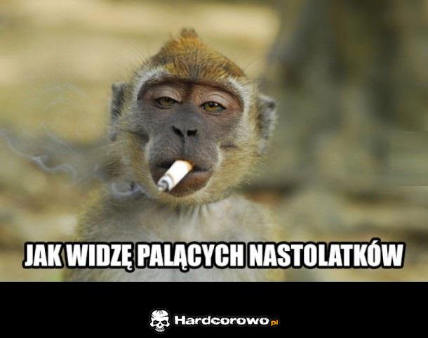 Tak to widzę - 1