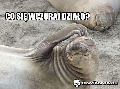 Co się wczoraj działo? - 1