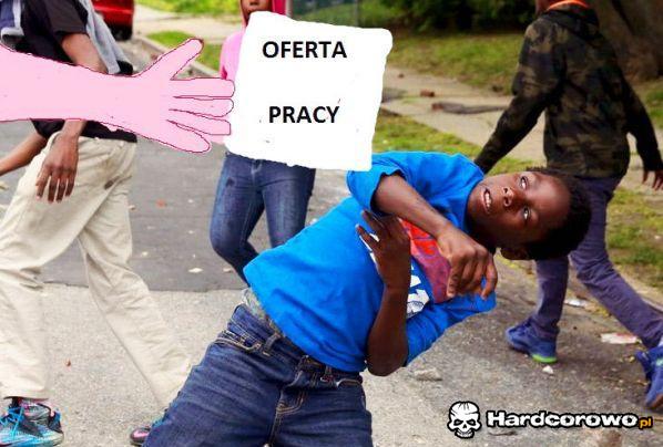 Oferta praca - 1