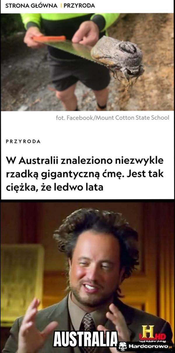  - 1