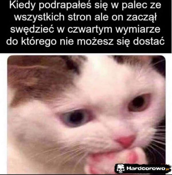  - 1