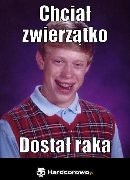 Chciał zwierzątko - 1