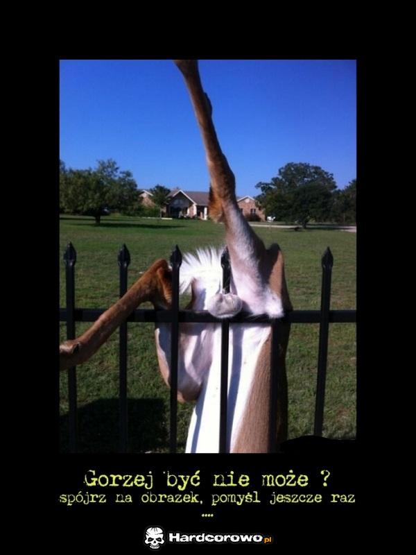 Gorzej być nie może - 1