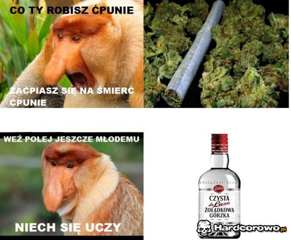 Starzy tacy są - 1