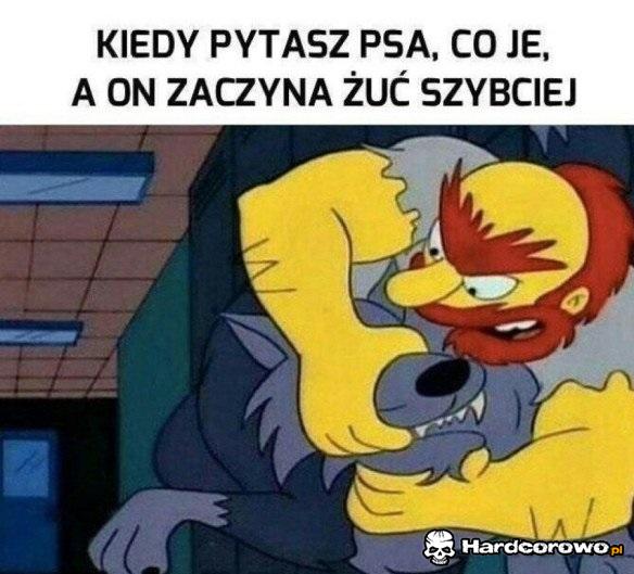 Walka z futrzakiem - 1