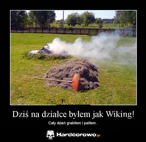 Wiking! - 1