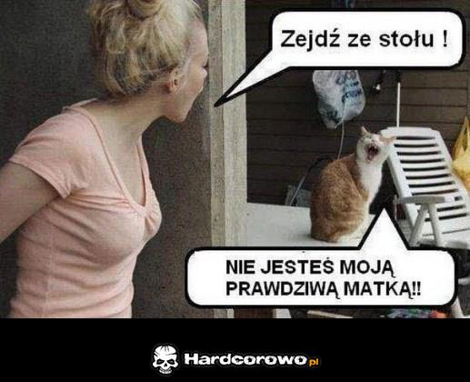 Zejdź ze stołu! - 1