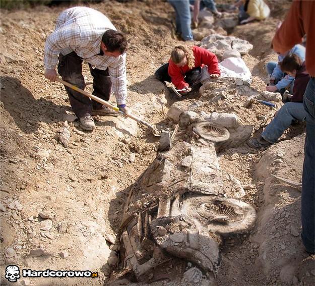 Odkrycie archeologiczne - 1