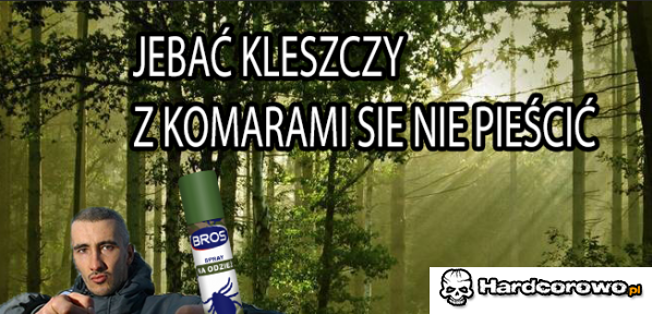 Broń - 1