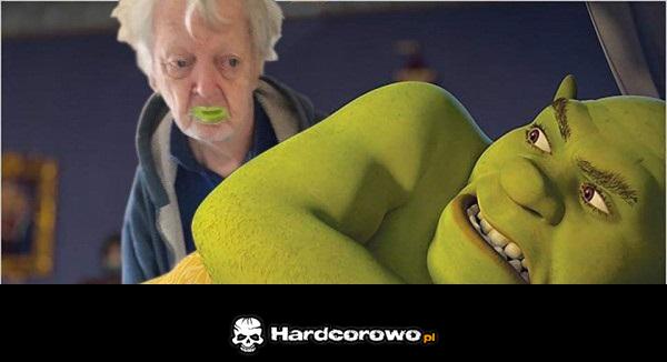 Shrek - 1