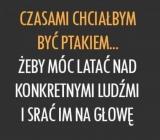 Czasami chciałbym być ptakiem
