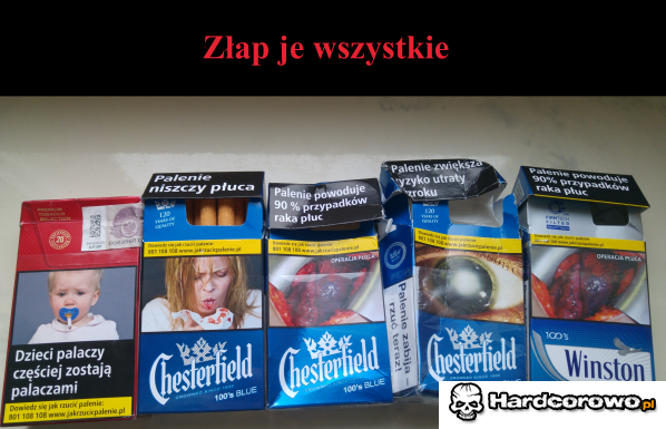 Złap je wszystkie - 1
