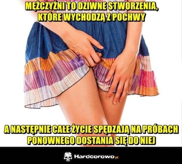 Dziwne stworzenia - 1