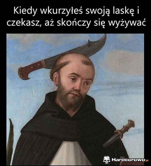 Wkurzona laska - 1
