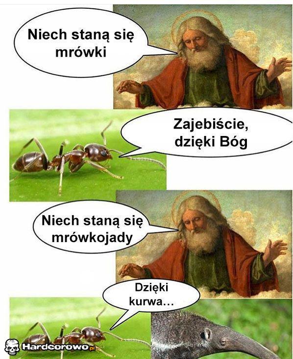 Stworzyciel  - 1