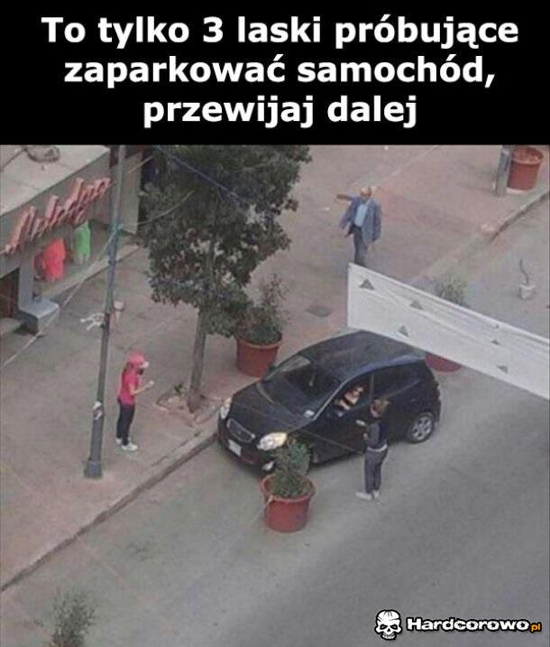Parkowanie samochodu - 1