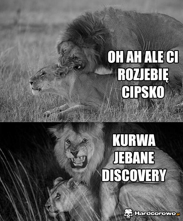 Film przyrodniczy  - 1