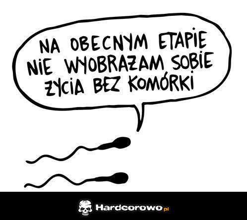 Na obecnym etapie  - 1
