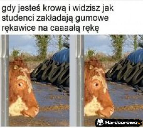  - 1