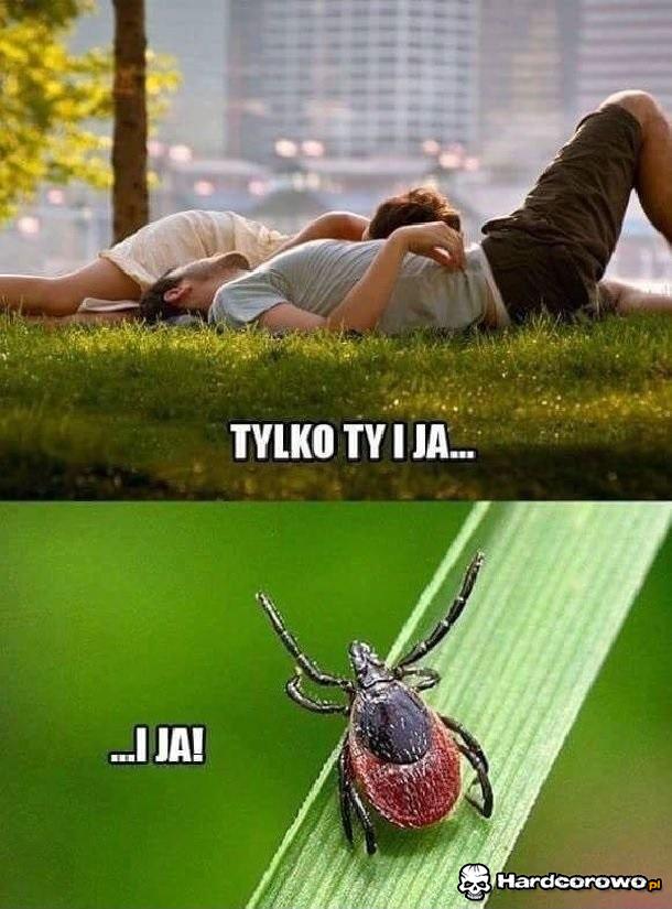 Mamy towarzystwo - 1