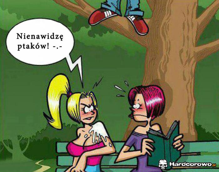 Pozory mylą - 1