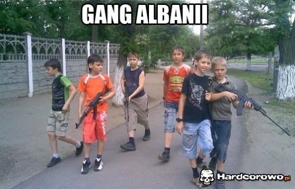 Gang Albanii - 1