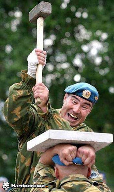 Odporność  - 1
