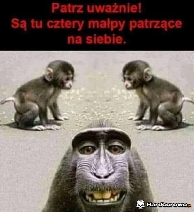 Patrz uważnie - 1