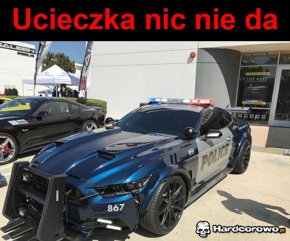 Policja - 1