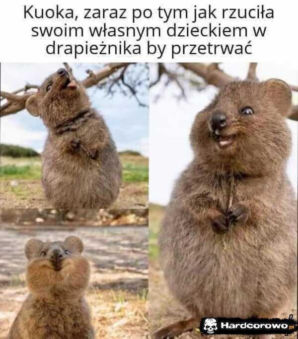 - 1