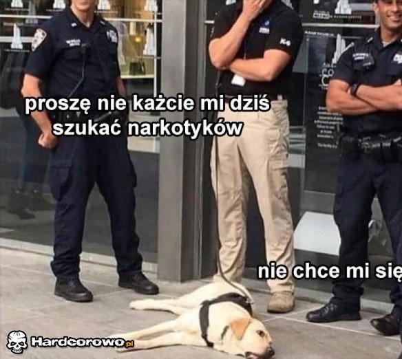 Najgorzej - 1