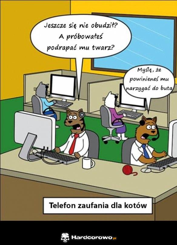 Telefon zaufania - 1