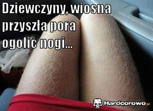 Dziewczyny! - 1