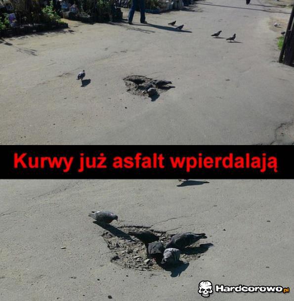 Gołębie - 1