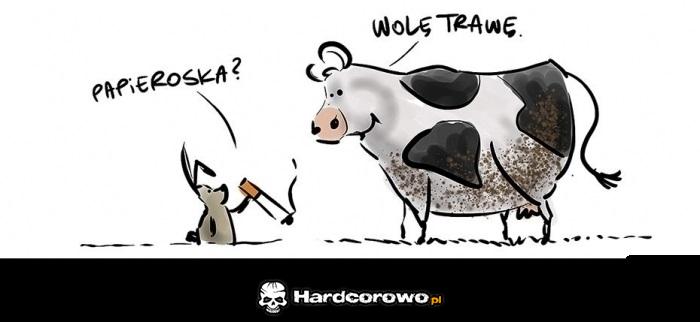 Papieroska? - 1