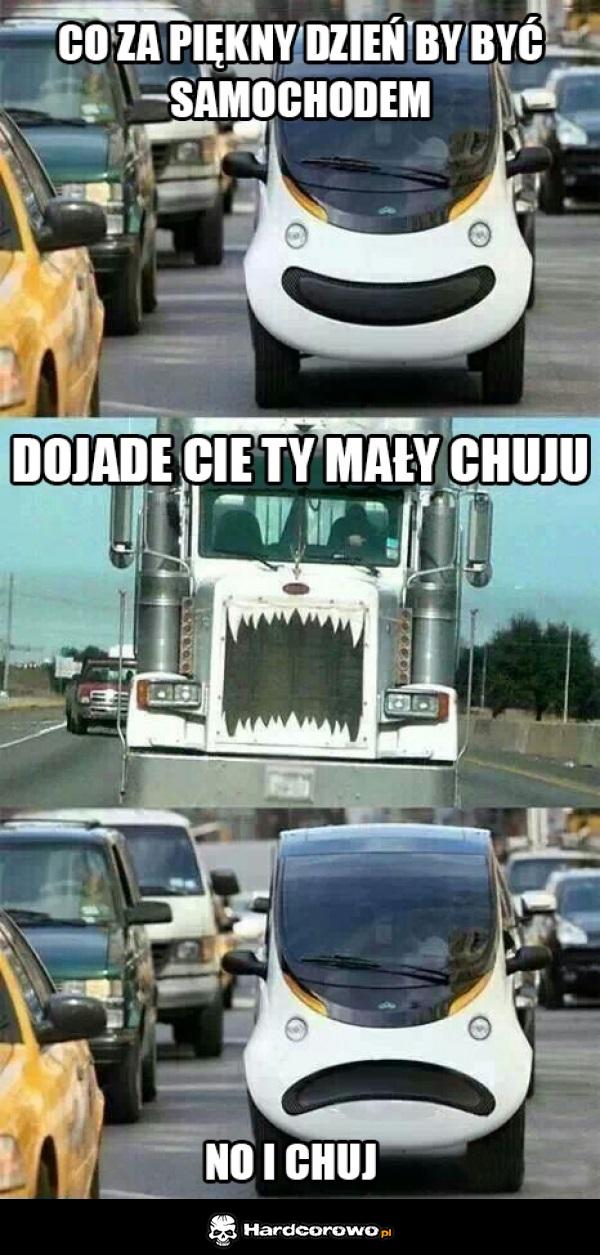 Piękny dzień by być samochodem  - 1