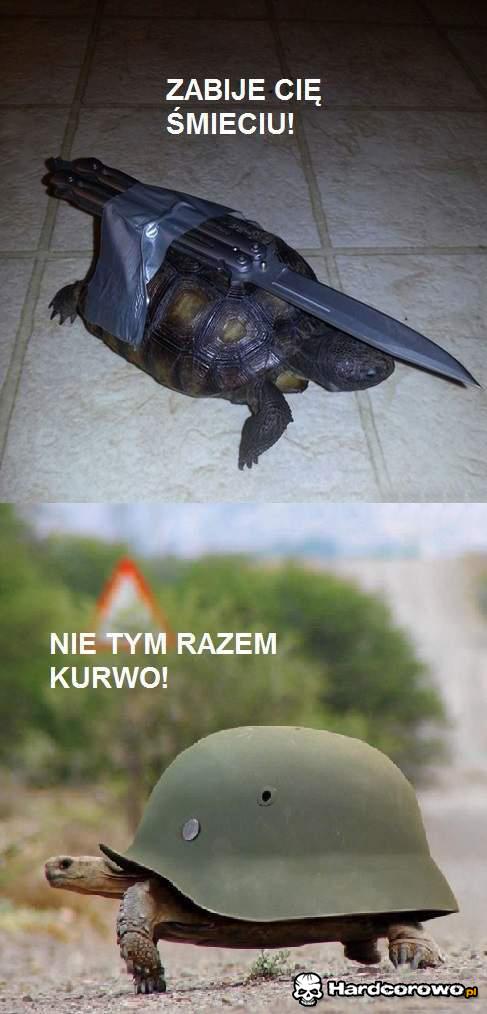 Wojownicze żółwie  - 1