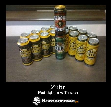 Żubr pod dębem w Tatrach - 1