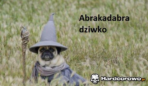 Abrakadabra - 1