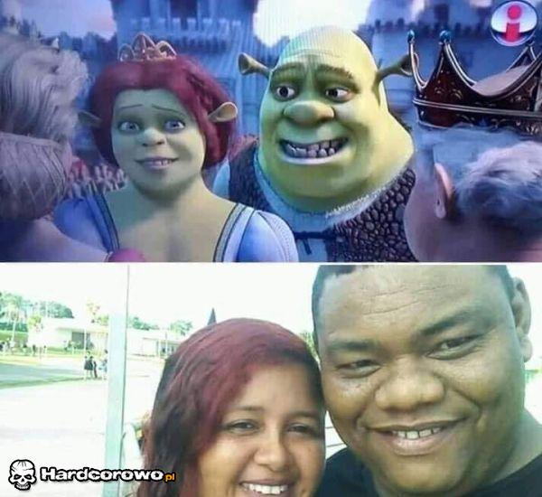 Shrek i fiona - 1