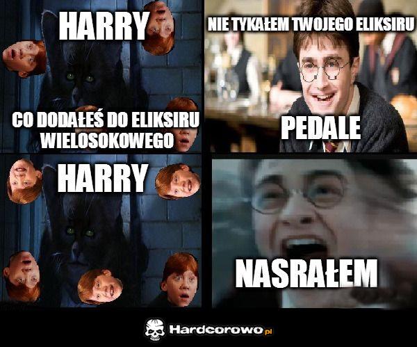 Harry - 1