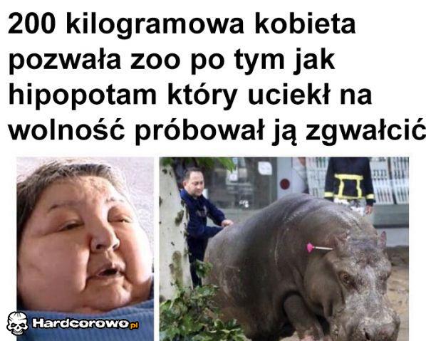 Hipcio gwałciciel - 1
