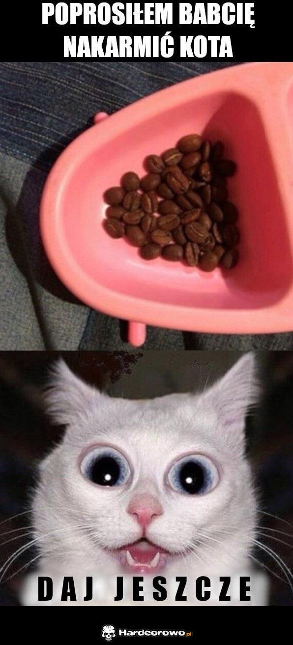 Babcia już słabo widzi - 1