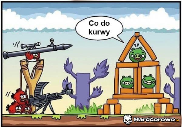 Co do kurwy - 1