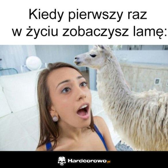 Tak to właśnie wygląda - 1