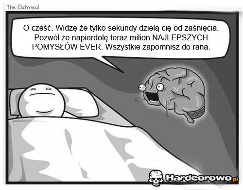 Mózg to pojeb  - 1