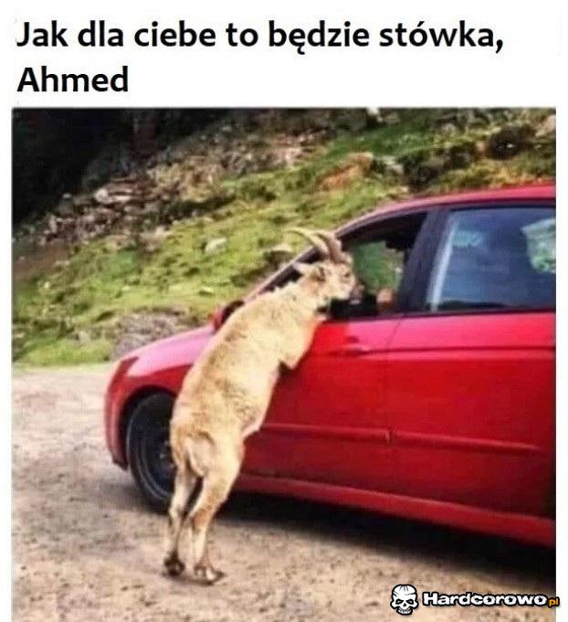 Dla ciebie stówka - 1