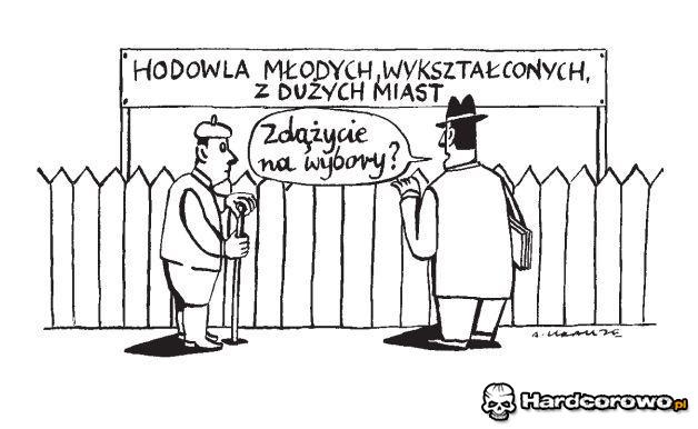 Hodowla młodych wykształconych z dużych miast - 1